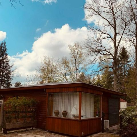 Mobilheim 4 Personen - Mobilheim/Chalet IJsselheide 46