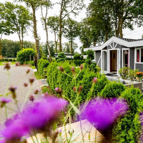 Chalet 6 Personen - Standard