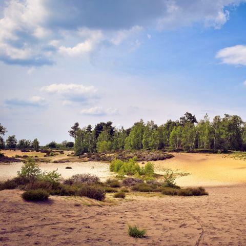 FERIENHAUS 6 Personen - Deluxe
