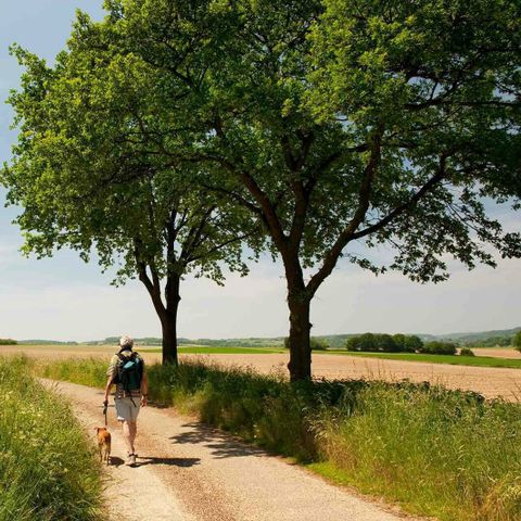 FERIENHAUS 6 Personen - Deluxe