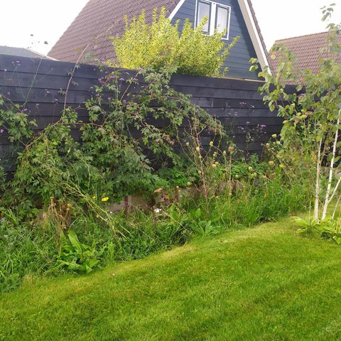 Bungalow 7 Personen - 68 Bungalow 7 Personen - 68