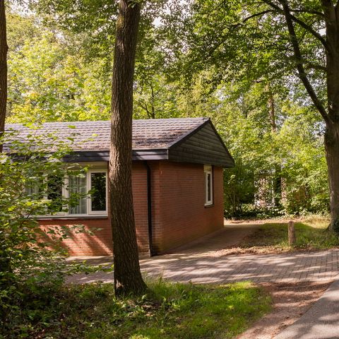 Bungalow 6 Personen - Bungalow 6CT