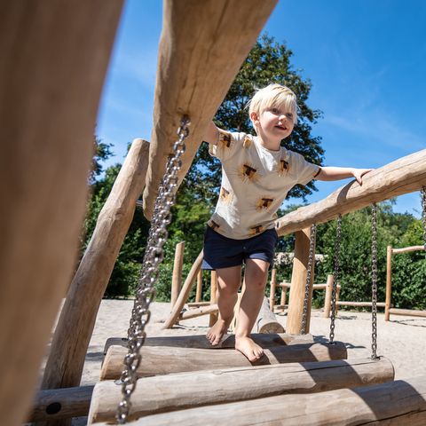 Landal Gooise Heide - Camping Huizen - Image N°2