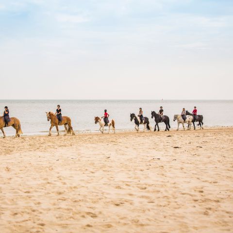 Landal Kaap West - Camping Terschelling - Image N°6