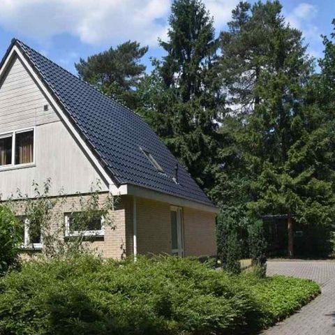 Bungalow 10 Personen - Schwalbe