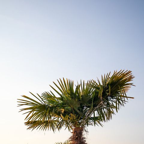 Safarizelt 2 Personen - Träumer