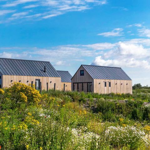 FERIENHAUS 4 Personen - Zwerggans