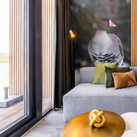 FERIENHAUS 4 Personen - Zwerggans