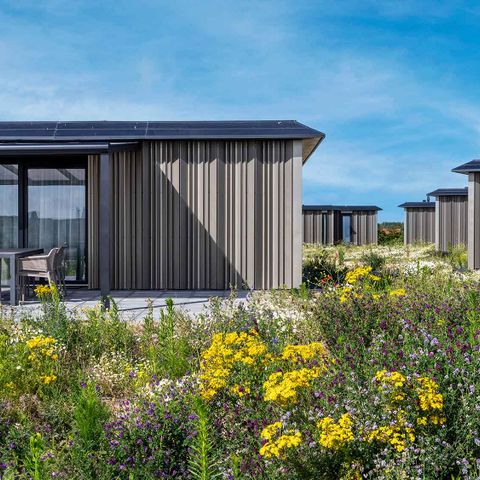 FERIENHAUS 6 Personen - Teichrohrsänger