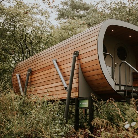 Unterkunft 4 personen - Baumhaus Skycabin Creeper