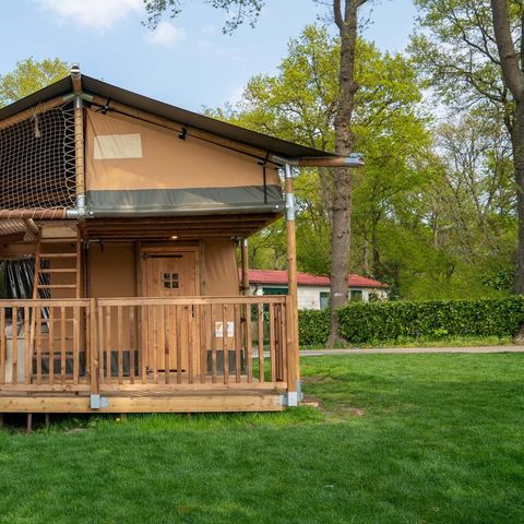 LODGE 6 Personen - Ranger-Hütte