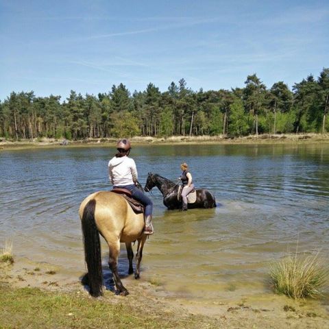 Vodatent Camping Amable - Someren - Image N°2
