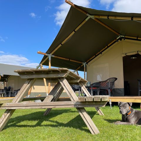 SafariZelt 6 Personen - Safari-Zelt