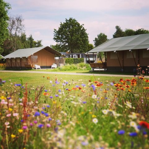 Safarizelt 6 Personen - einschließlich Toilette