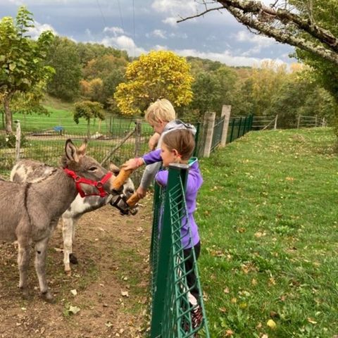 Vodatent Camping Fargogne - Tarn-et-Garonne - Image N°4