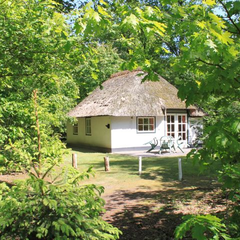 Bungalow 4 Personen - Stuif Hoeve 4