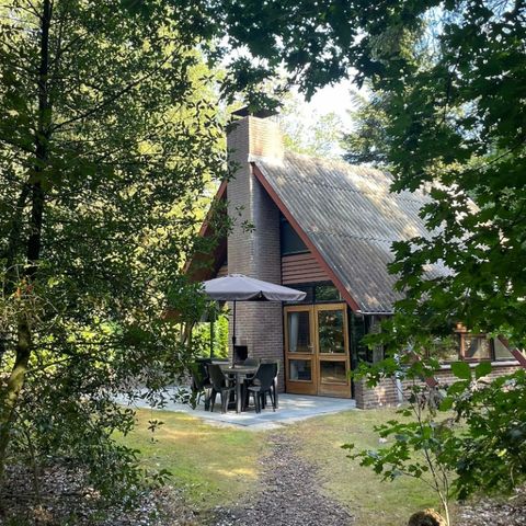 Bungalow 6 Personen - Waldrand C6