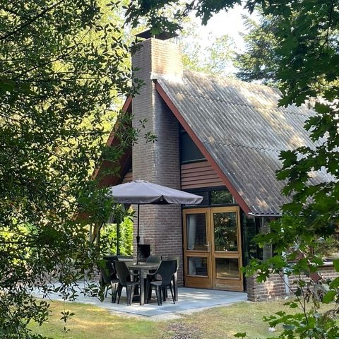 Bungalow 6 Personen - Waldrand C6