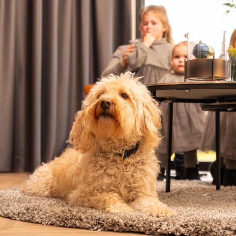 Chalet 6 Personen - Villa Nautica