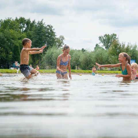 Landal Klein Oisterwijk - Oisterwijk - Image N°2