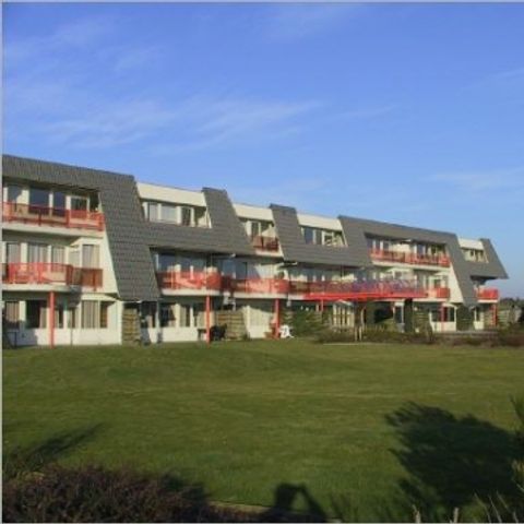 Amelander Paradijs - Camping Ameland - Image N°4