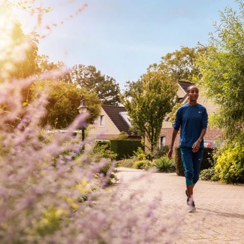 Summio Bungalowpark De Riethorst - Camping Mook und Middelaar - Image N°4