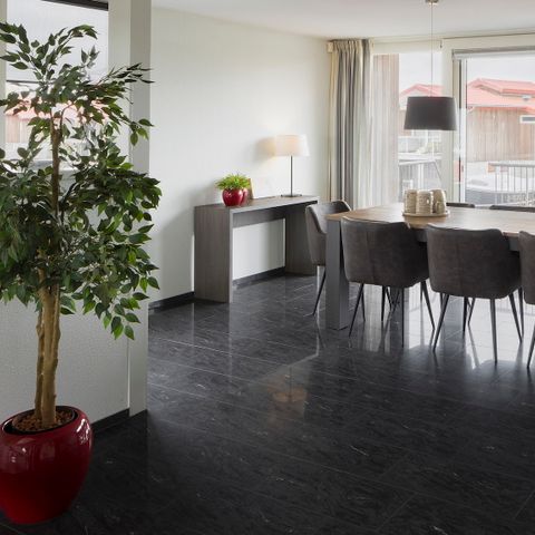 Bungalow 8 Personen - Goldregenpfeifer Wellness Plus