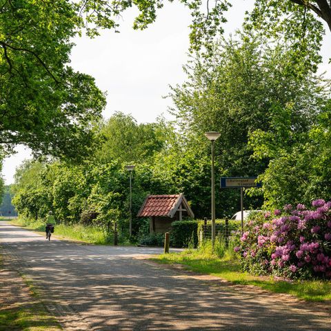 FERIENHAUS 6 Personen - Der Waldkauz