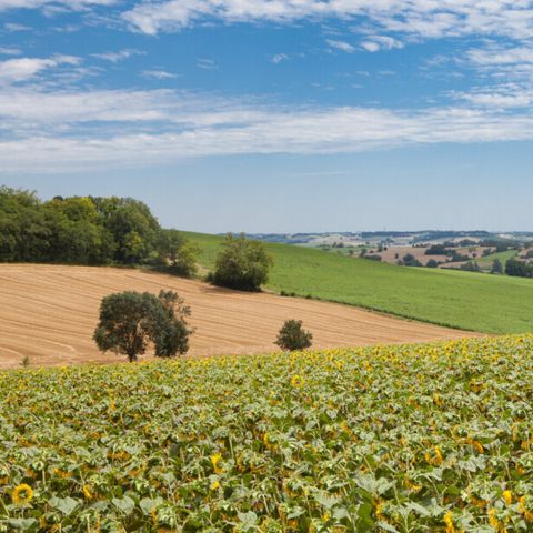 Vodatent Camping Le Camp de Florence - Gers - Image N°3