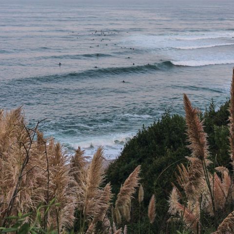 Wecamp San Sebastian - Gipuzkoa - Image N°2