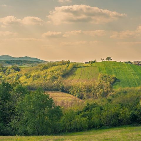 Wecamp Pinineos  - Huesca - Image N°2