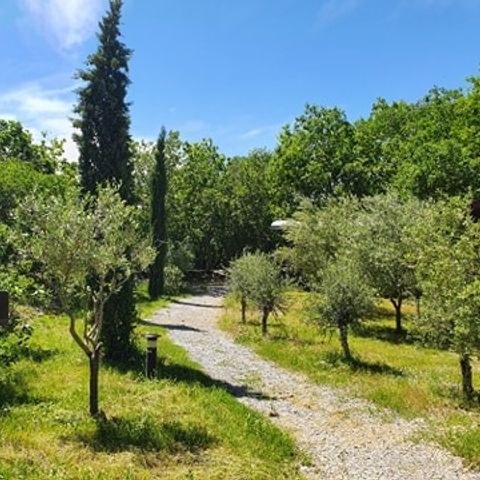 LODGE 2 Personen - Klimatisierter Hotelwagen mit Frühstück / Privates Spa optional