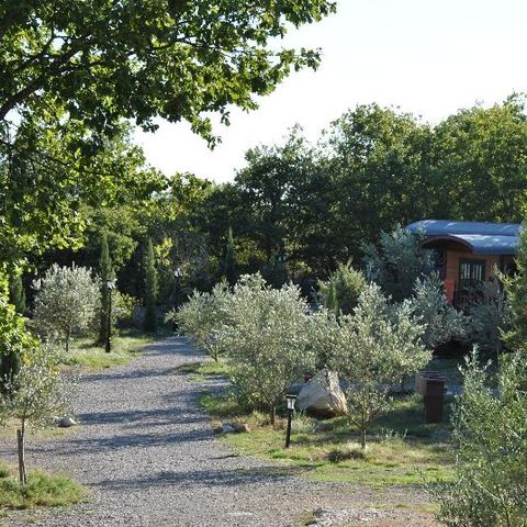 LODGE 4 Personen - Wohnwagen (Familienaufenthalt) mit Klimaanlage / ohne Frühstück / 5 pax inclusive / Spa privat als Option