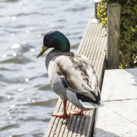 FERIENHAUS 12 Personen - Haus der Familie