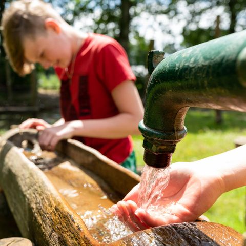 AUßERGEWÖHNLICHE UNTERKUNFT 6 Personen - Baumhaus