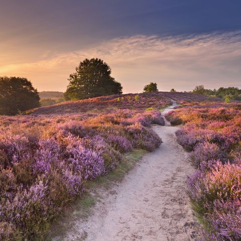 AUßERGEWÖHNLICHE UNTERKUNFT 6 Personen - Baumhaus