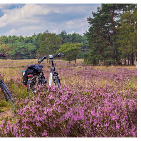 Bungalow 6 Personen - Zwergadler Natur Paket