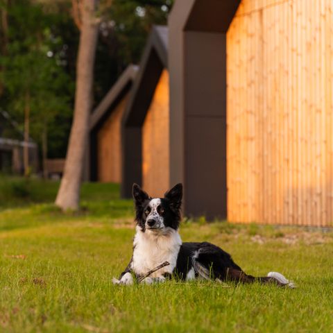 Roodewoud - Aa und Hunze - Image N°3