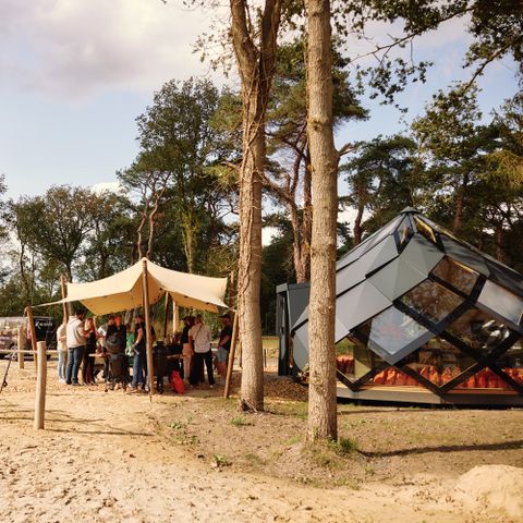 Roodewoud - Aa und Hunze - Image N°4