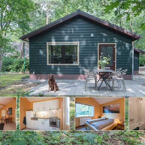 Bungalow 4 Personen - Blauer Pfau
