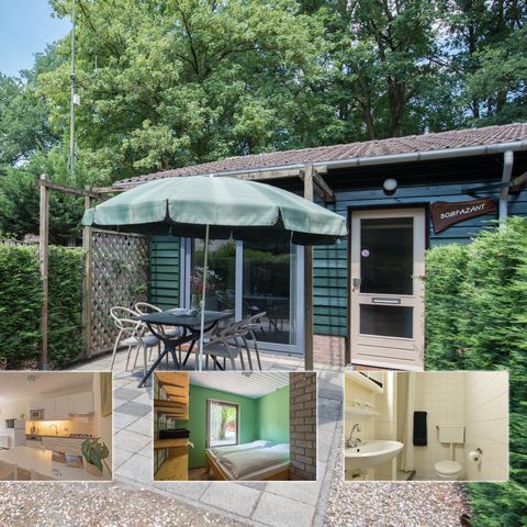 Bungalow 4 Personen - Waldlandfasan