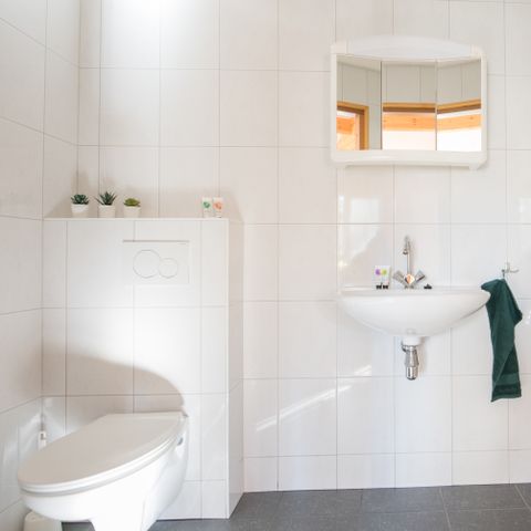 Bungalow 4 Personen - Goldbrustgans