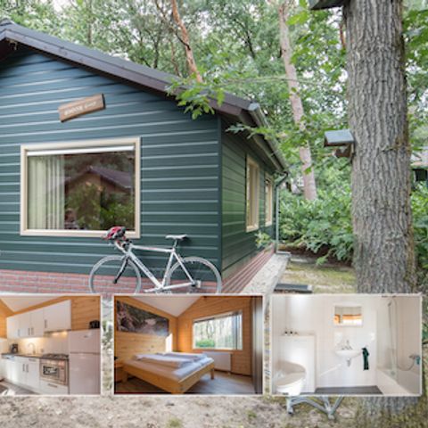 Bungalow 4 Personen - Goldbrustgans
