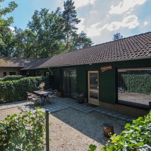Bungalow 3 Personen - Höckerschwan