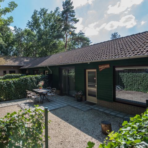 Bungalow 3 Personen - Höckerschwan