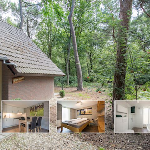 Bungalow 4 Personen - Grünspecht