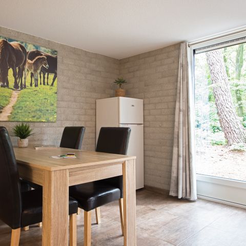 Bungalow 4 Personen - Grünspecht