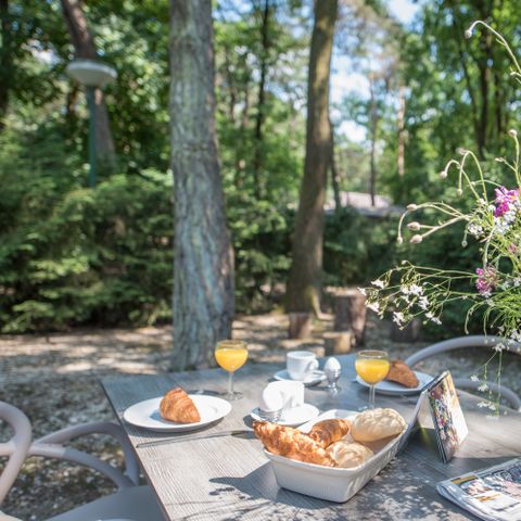 Bungalow 1 Person - Rothalsgans