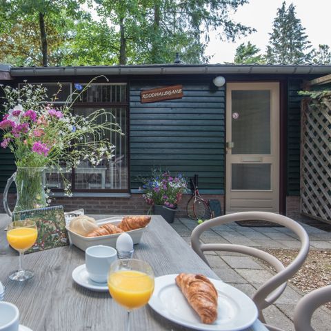 Bungalow 1 Person - Rothalsgans