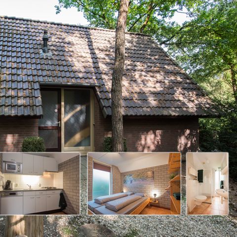 Bungalow 4 Personen - Javapfau